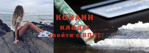 шишки Новозыбков