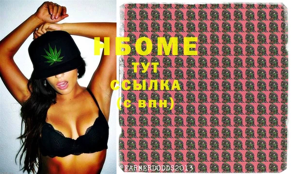 шишки Новозыбков
