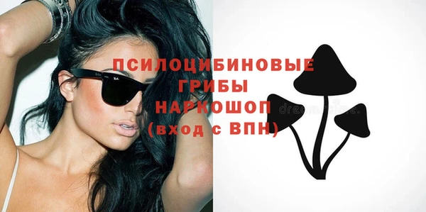 мескалин Новодвинск