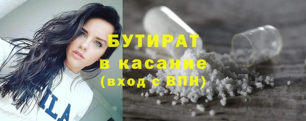 шишки Новозыбков