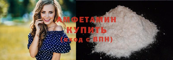 шишки Новозыбков