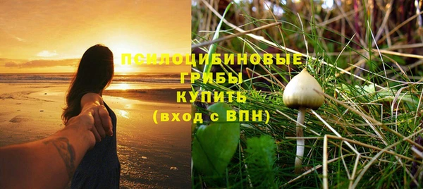 мяу мяу мука Новокубанск