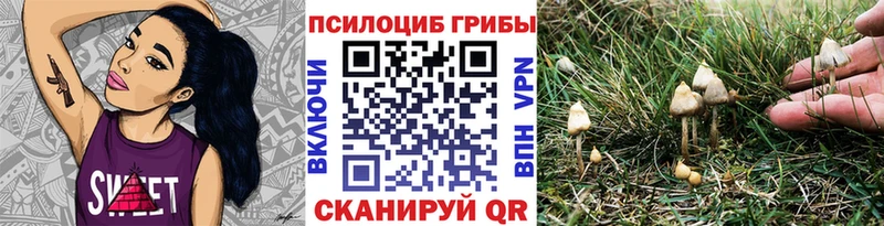 Галлюциногенные грибы GOLDEN TEACHER  цена   Спас-Клепики 